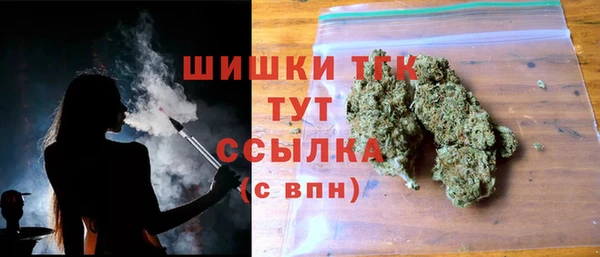 spice Вяземский