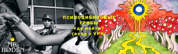 не бодяженный Володарск