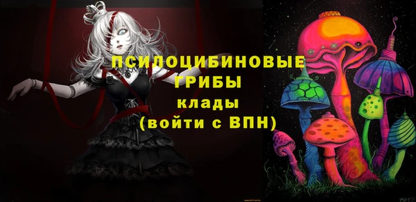 spice Вяземский