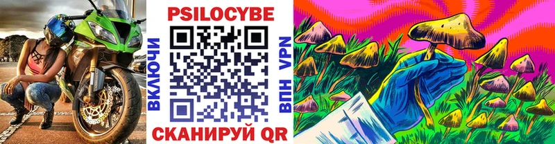 как найти   Льгов  mega как зайти  Псилоцибиновые грибы мухоморы 